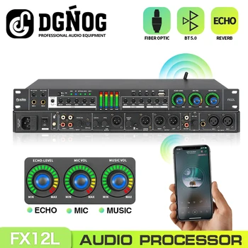 DGNOG Karaoke Dijital Ses Efekti İşlemci Bluetooth Profesyonel Mikrofon Ses Yankı İşlemci Etkisi Sistemi Ev Partisi için