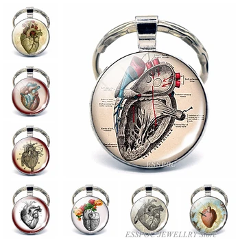Anatomik Kalp Anahtarlık Anahtarlık Cam Metal Anahtarlık Anahtarlık Kalp Atışı İşareti Kolye Biyolog Doktorlar Hediyeler