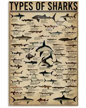 Her Türlü Köpekbalığı Posteri Uyarı Dalgıç Dekor Banyo Hediye Dalgıç İşaretleri Vintage Yol İşaretleri Yüksek Yol Metal Tabela